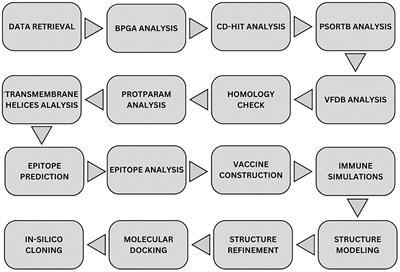 Design of a novel multi-epitopes vaccine against Escherichia fergusonii: a pan-proteome based in- silico approach